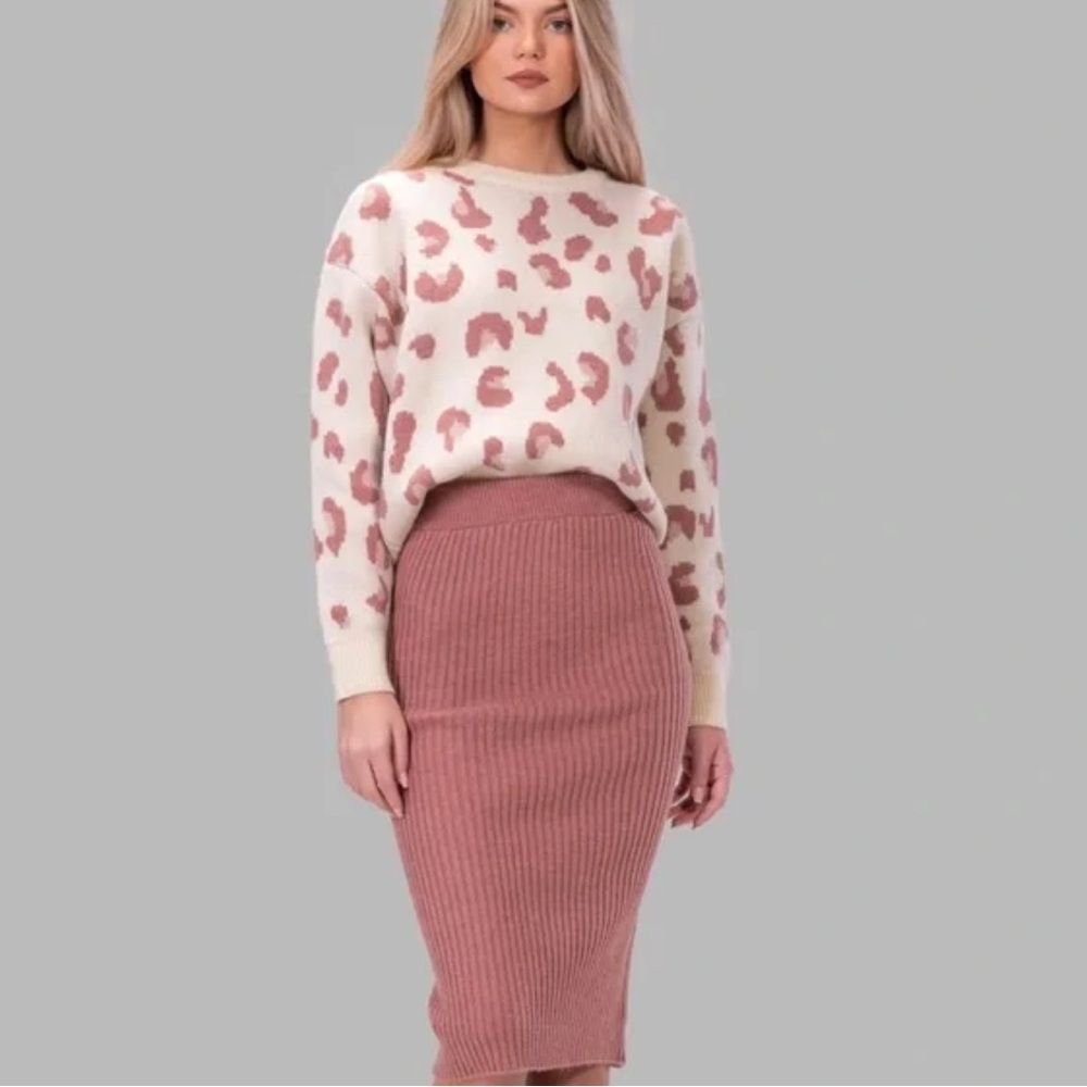 NWT By Egreis sweater skirt